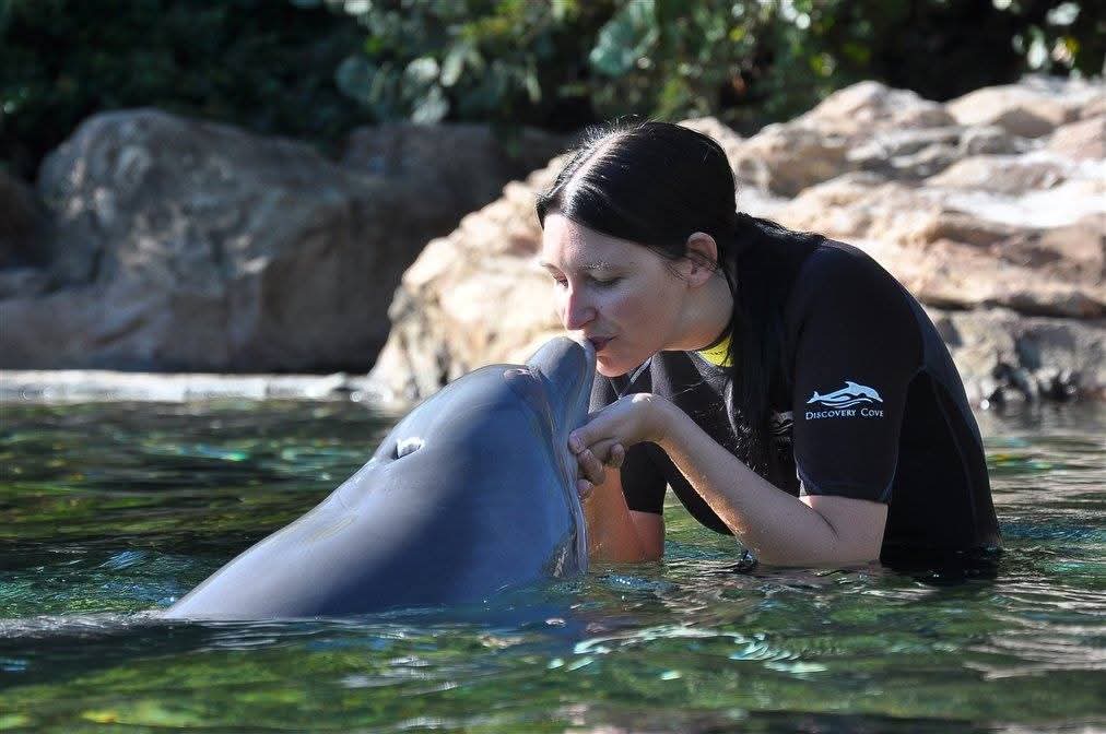 Saby Discovery Cove